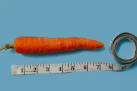 Filho com micropênis? Pais apontam preocupação no assunto. diz estudo - Imagem