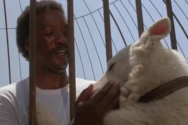 Hollywood errou feio: esses filmes racistas nunca deviam ter sido feitos - Imagem