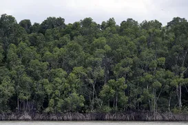 Ipea calcula quanto países ricos devem ao planeta por excesso de poluição - Imagem