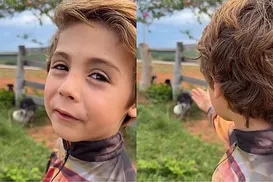 Menino de 6 anos resgata cães abandonados: “Nunca vou machucar vocês” - Imagem