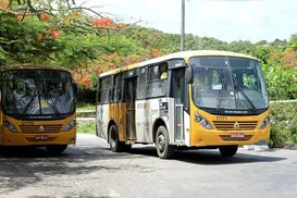 Ônibus ‘amarelinhos’ de Salvador vão ganhar novo modelo com ar-condicionado - Imagem
