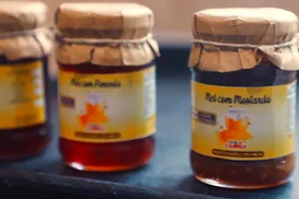 Produtores baianos disputarão Concurso de Qualidade do Mel durante a Fenagro 2025 - Imagem