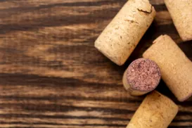 Rolha na geladeira: entenda por que fazer isso é recomendado - Imagem