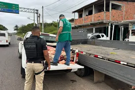 Sem churras? Polícia desmonta abate clandestino de carne irregular - Imagem