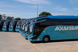 Viação Águia Branca abre 40 vagas para motoristas na Bahia - Imagem