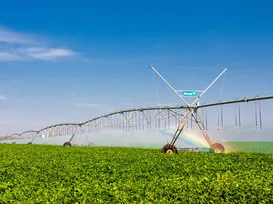 Bahia lidera avanço da irrigação sustentável e se destaca no agronegócio nacional - Imagem