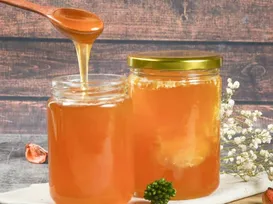 Bahia se destaca na apicultura com concurso de qualidade do mel - Imagem