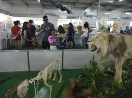 Mavi: ciência interativa espera bater recorde com 12 mil visitantes - Imagem