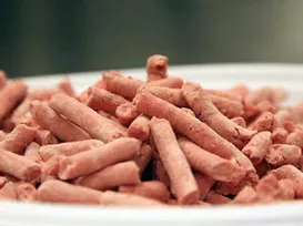 Salsicha em merenda escolar vira polêmica em cidade baiana - Imagem