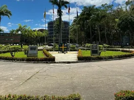 Universidade baiana abre concurso com quase 30 vagas para professores - Imagem