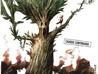 Charge do dia 12/11/25