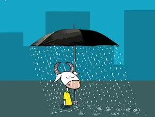 Charge do dia 13/11/2025