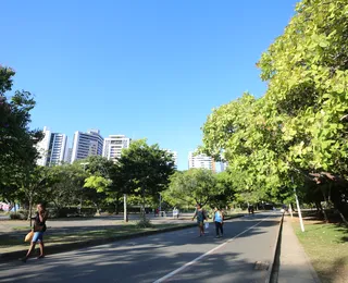 5 lugares de graça para você levar as crianças em Salvador além das praias