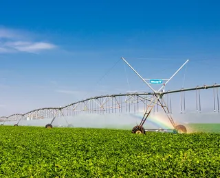 Bahia lidera avanço da irrigação sustentável e se destaca no agronegócio nacional