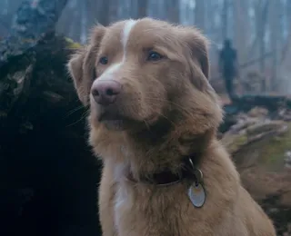 Bom Menino e mais: veja o que está passando no cinema em Salvador