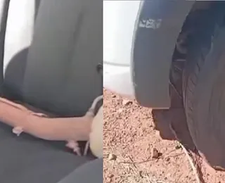 Carros com 4 anos de uso estão sucateados em Ibitiara