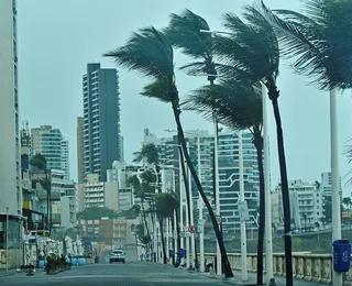 Chuva em Salvador: vento atinge 59 km/h e assusta moradores