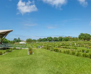 Cremação: entenda porque ela é uma opção moderna, respeitosa e acolhedora para as famílias