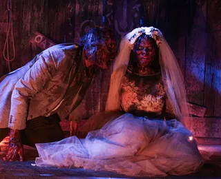 De graça em Salvador: cinema vai exibir 75 filmes de terror