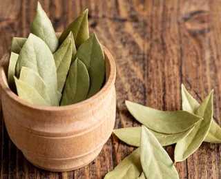 Diga adeus aos insetos com esse truque infalível com folha de louro