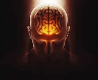 Estudo revela como “desligar” neurônios que controlam a ansiedade