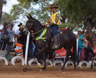 Fenagro 2025 vai premiar melhores burros e mulas do ano