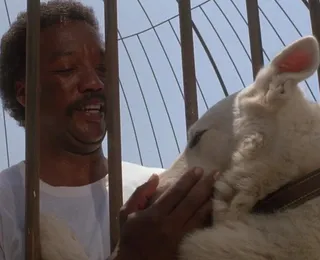 Hollywood errou feio: esses filmes racistas nunca deviam ter sido feitos