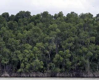 Ipea calcula quanto países ricos devem ao planeta por excesso de poluição
