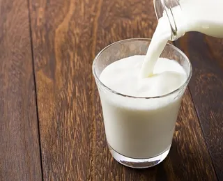 Leite de barata é mais nutritivo que o de vaca e pode salvar o mundo