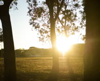Mais de 70 cidades da Bahia apresentaram alerta de umidade baixa