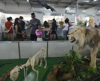 Mavi: ciência interativa espera bater recorde com 12 mil visitantes