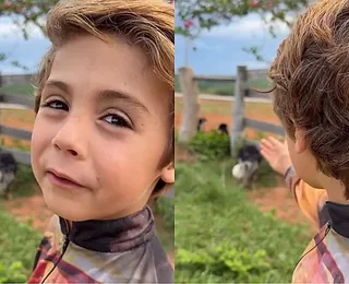 Menino de 6 anos resgata cães abandonados: “Nunca vou machucar vocês”