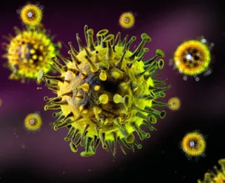 Nova pandemia? Variante do vírus da gripe é detectada na China