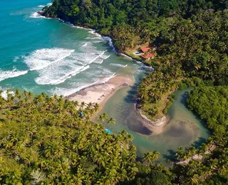 Paraíso na Bahia recebe festival de alta gastronomia por 12 dias; veja programação
