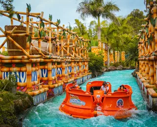Parque brasileiro supera Disney e Universal e entra no TOP 10 mundial
