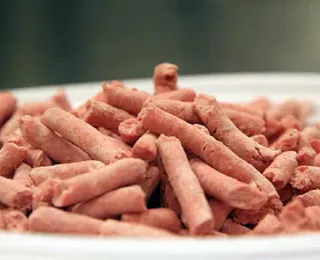 Salsicha em merenda escolar vira polêmica em cidade baiana