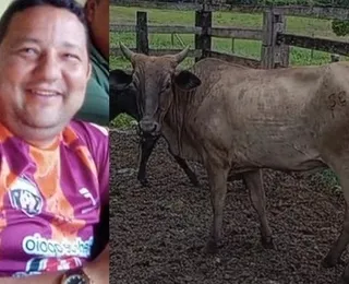 Secretário de prefeitura de cidade baiana é acusado de furtar vaca