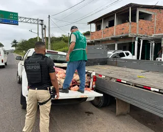 Sem churras? Polícia desmonta abate clandestino de carne irregular