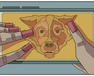 Seu cachorro dorme na sua cama? Você não está sozinho(a)