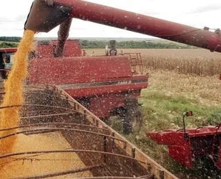 Trabalhador morre soterrado após cair em silo de soja na Bahia