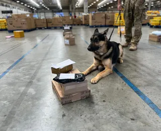 Triagem do tráfico: drogas e armas são apreendidas nos Correios