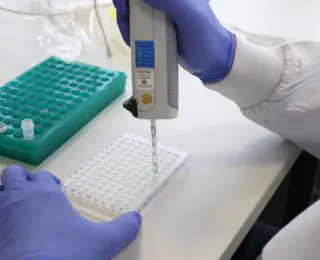 USP lidera lista de cientistas brasileiros mais citados no mundo