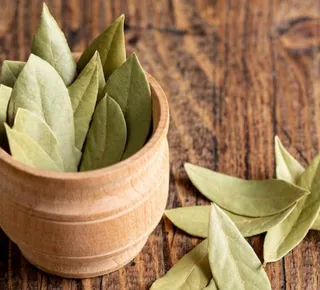 Diga adeus aos insetos com esse truque infalível com folha de louro - Imagem