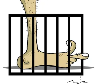 Charge do dia 25/11/2025