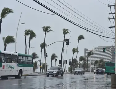 Feriado do Dia da Consciência Negra será de chuva na Bahia - Imagem
