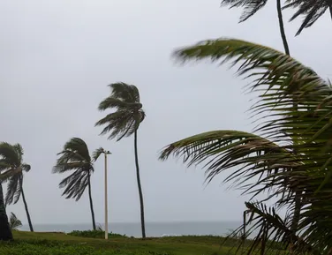 Mais chuva? Veja previsão do tempo em Salvador após temporal - Imagem