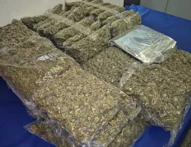 Três pessoas são presas com 31 kg de drogas no Aeroporto de Salvador - Imagem