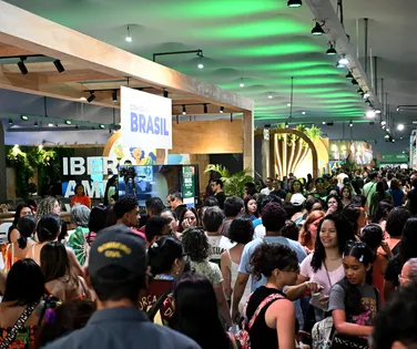 A África do Sul na COP30: financiamento climático e transição justa - Imagem