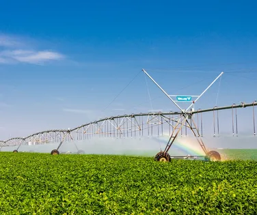 Bahia lidera avanço da irrigação sustentável e se destaca no agronegócio nacional - Imagem