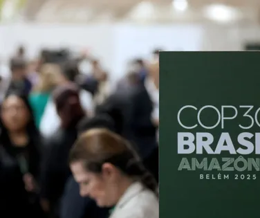 Solange Ribeiro destaca avanços do ESG e inclusão no setor elétrico - Imagem